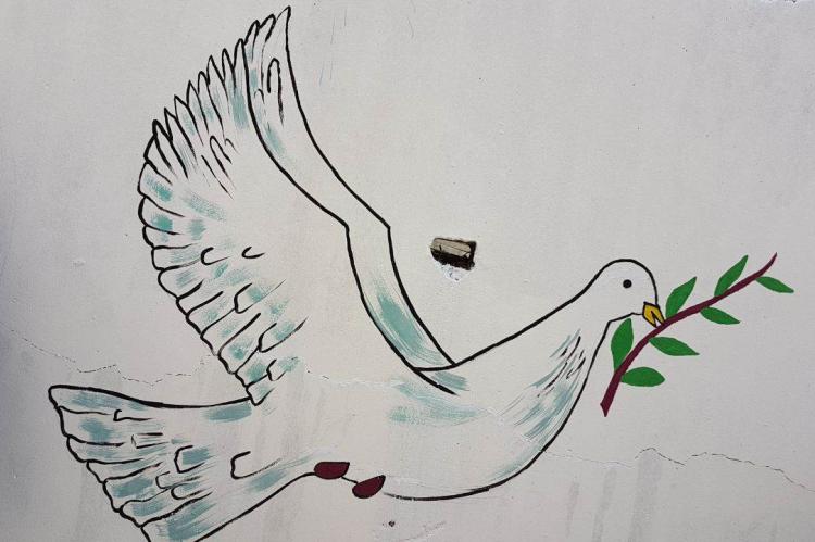 Peace Dove on the wall