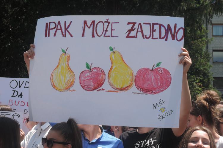 Demonstrationsplakat zeigt Äpfel und Birnen gemeinsam