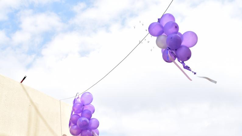 Purple Balloons in the Sky